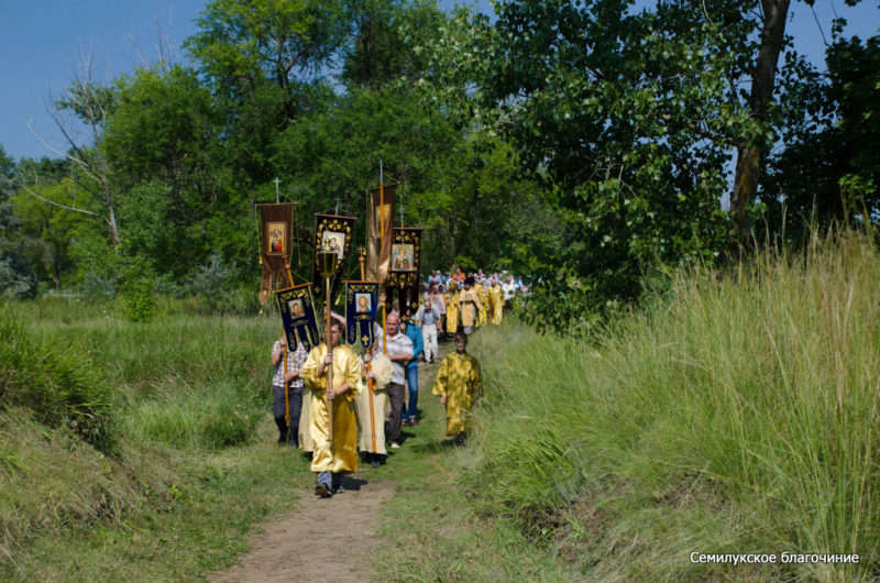 Семилуки, 28 июля 2019 (10)